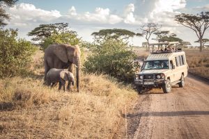 6 Days – Lake Manyara, Ngorongoro Crater and Serengeti